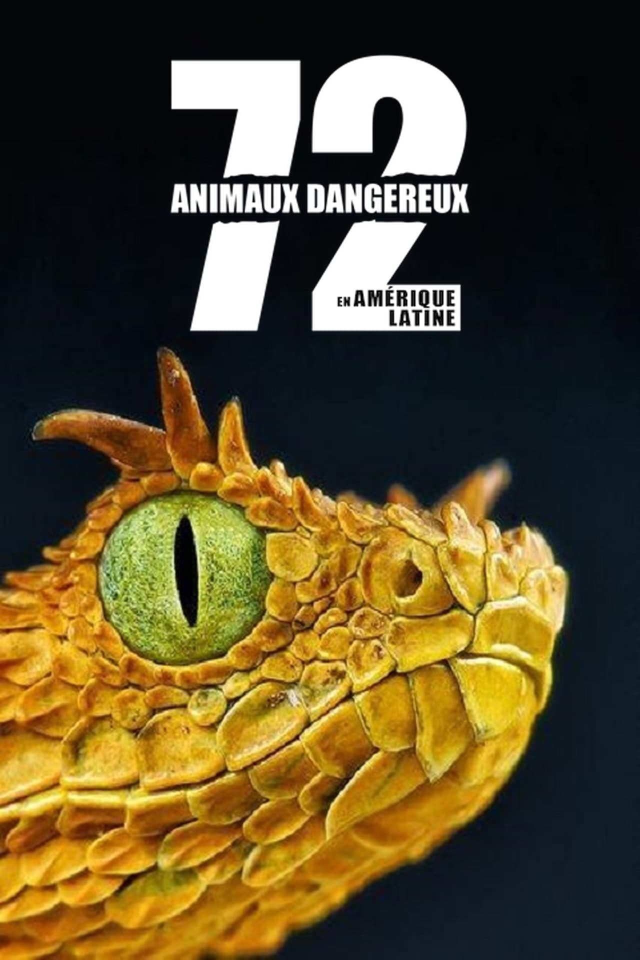 Affiche de la série 72 animaux dangereux en Amérique latine