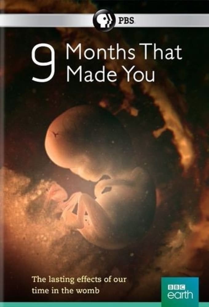 Affiche de la série 9 Months That Made You poster