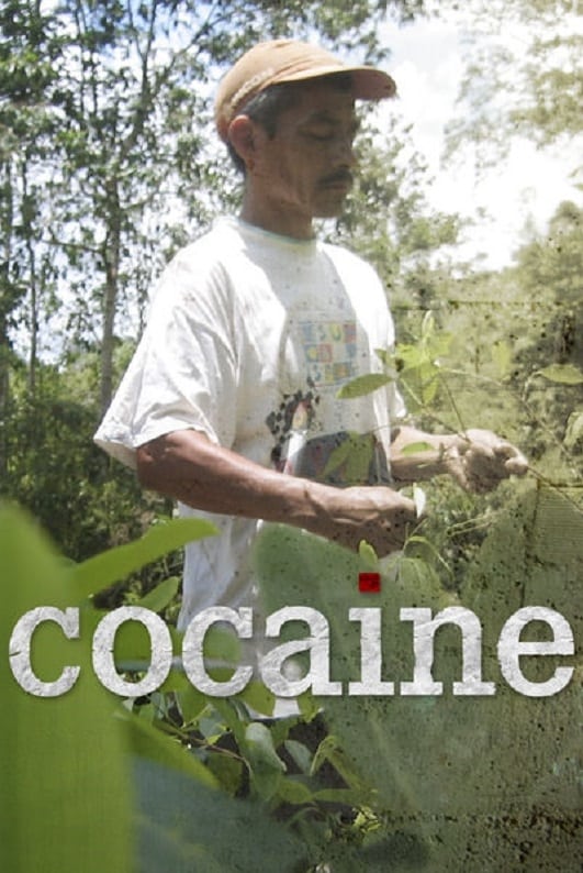 Les saisons de Cocaine sont-elles disponibles sur Netflix ou autre ?