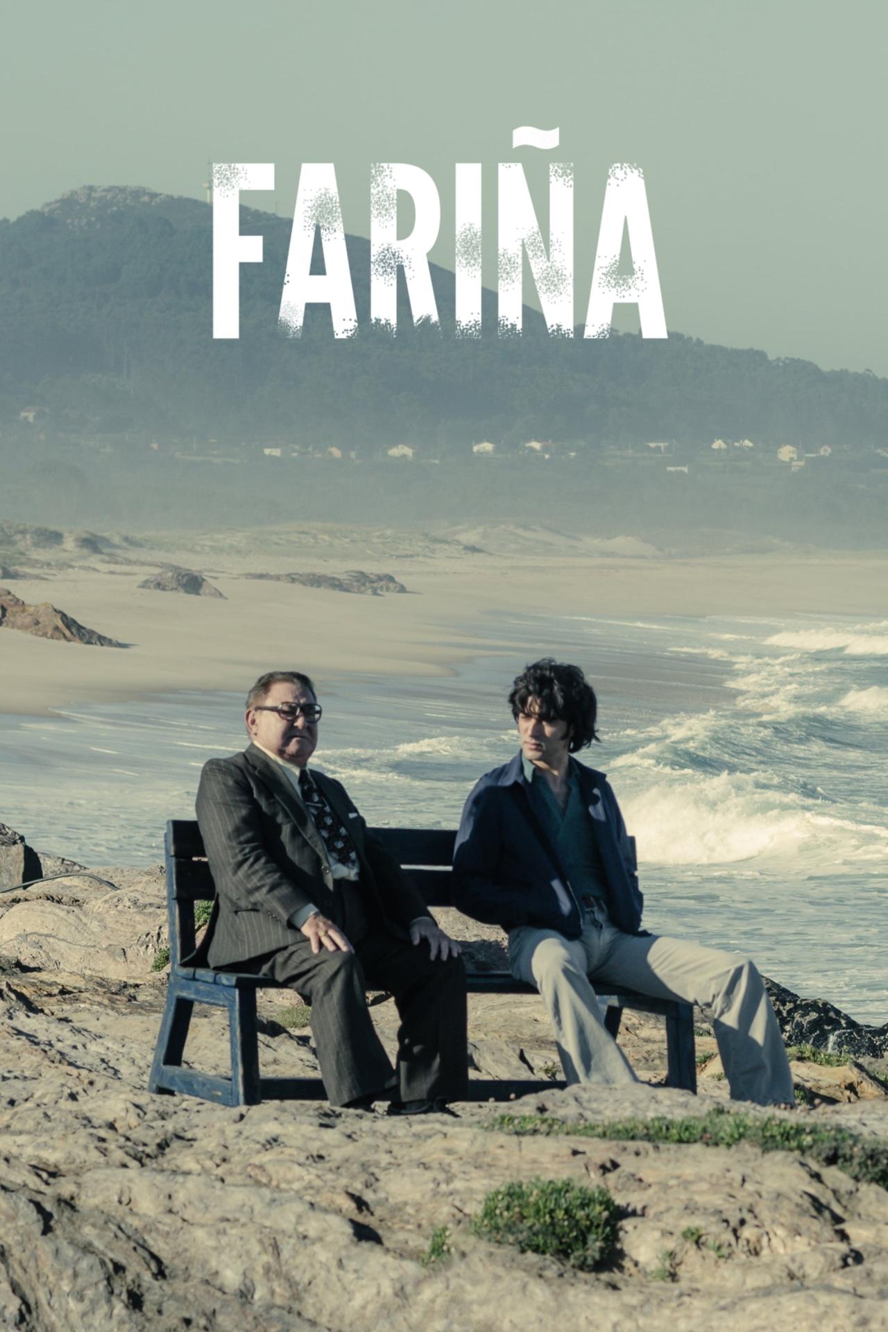 Les saisons de Fariña sont-elles disponibles sur Netflix ou autre ?
