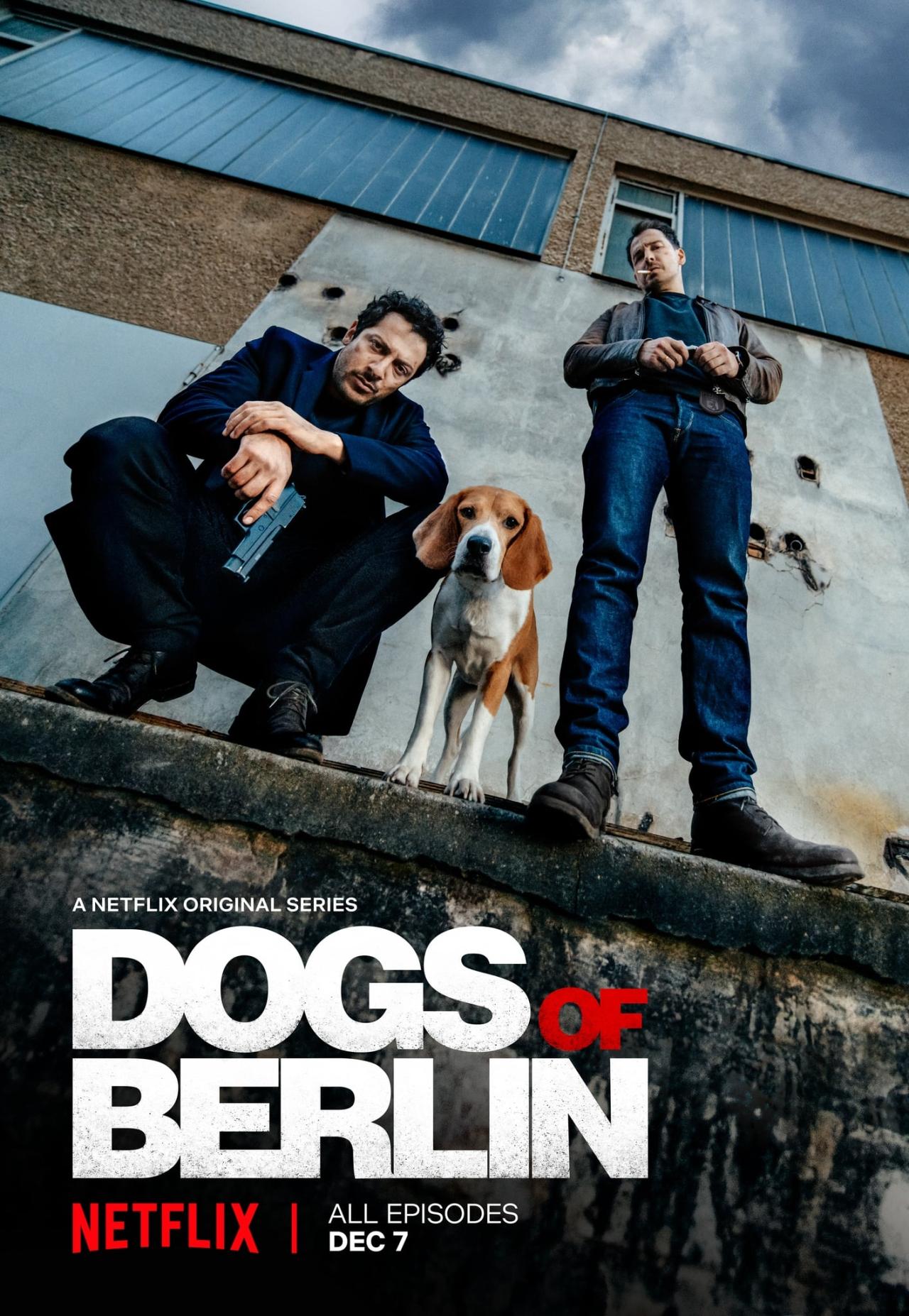 Les saisons de Dogs of Berlin sont-elles disponibles sur Netflix ou autre ?