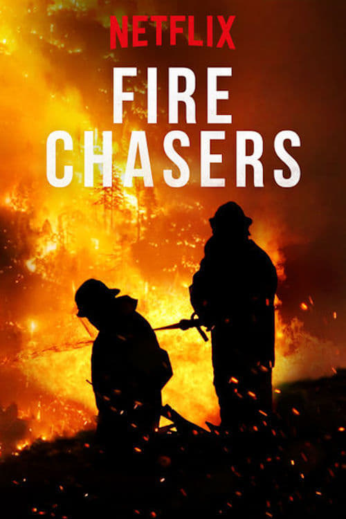 Les saisons de Fire Chasers sont-elles disponibles sur Netflix ou autre ?