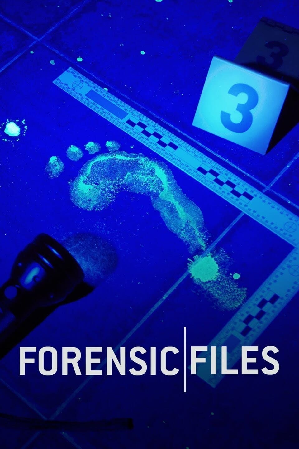 Affiche de la série Forensic Files poster