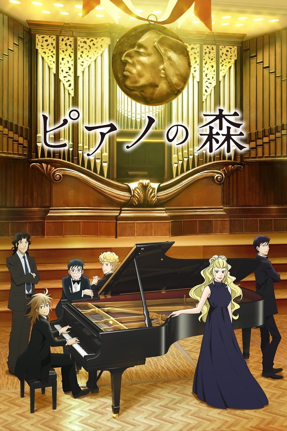 Les saisons de Le Piano dans la forêt sont-elles disponibles sur Netflix ou autre ?