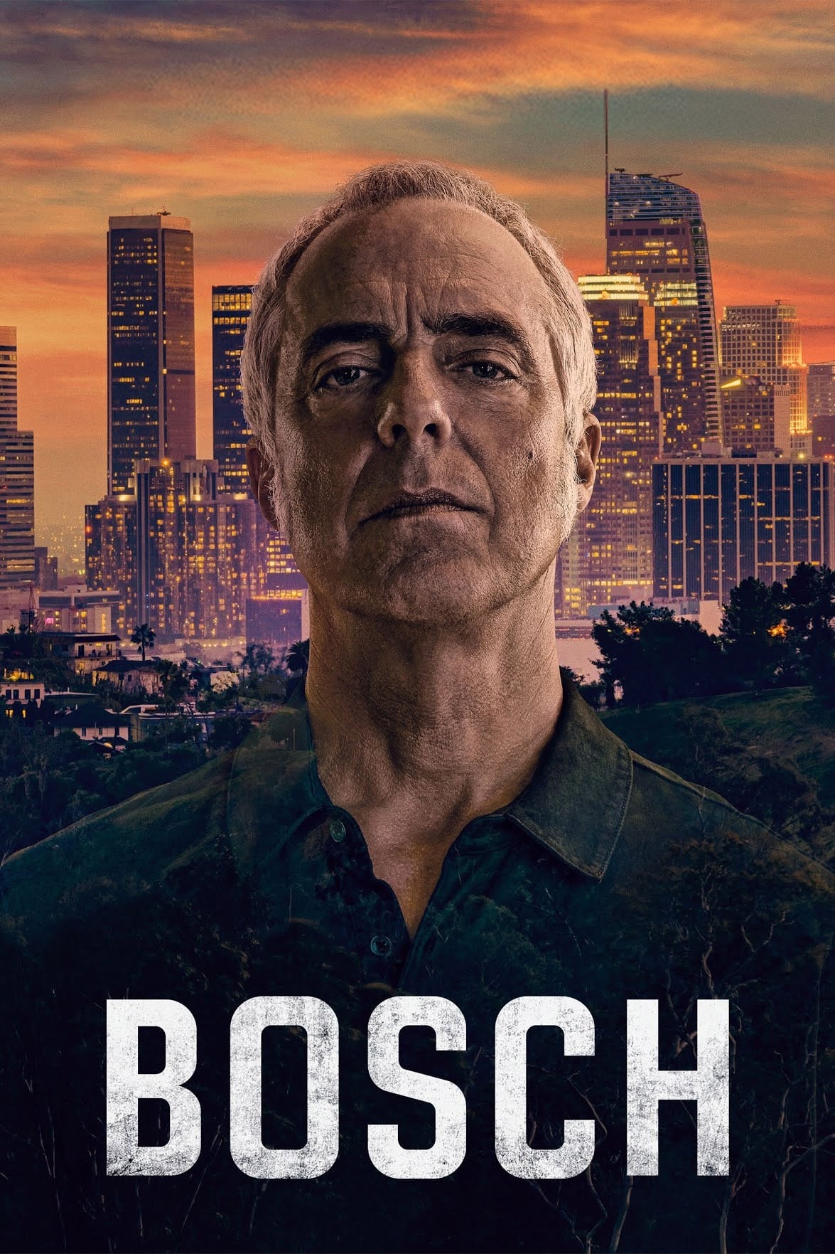 Les saisons de Bosch sont-elles disponibles sur Netflix ou autre ?