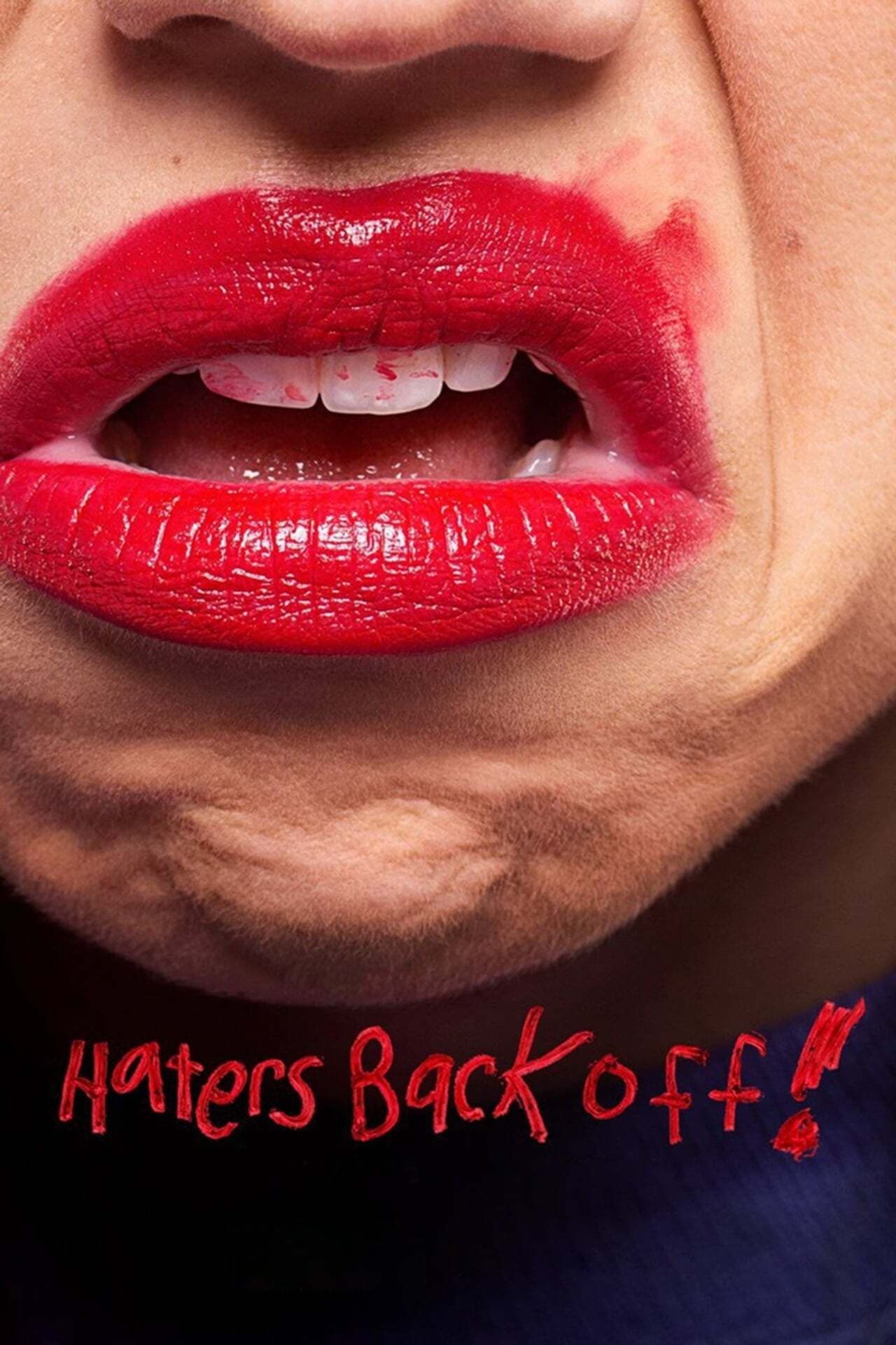 Les saisons de Haters Back Off sont-elles disponibles sur Netflix ou autre ?