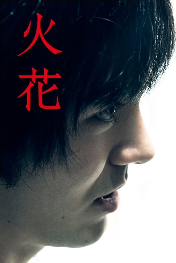 Affiche de la série 火花 poster