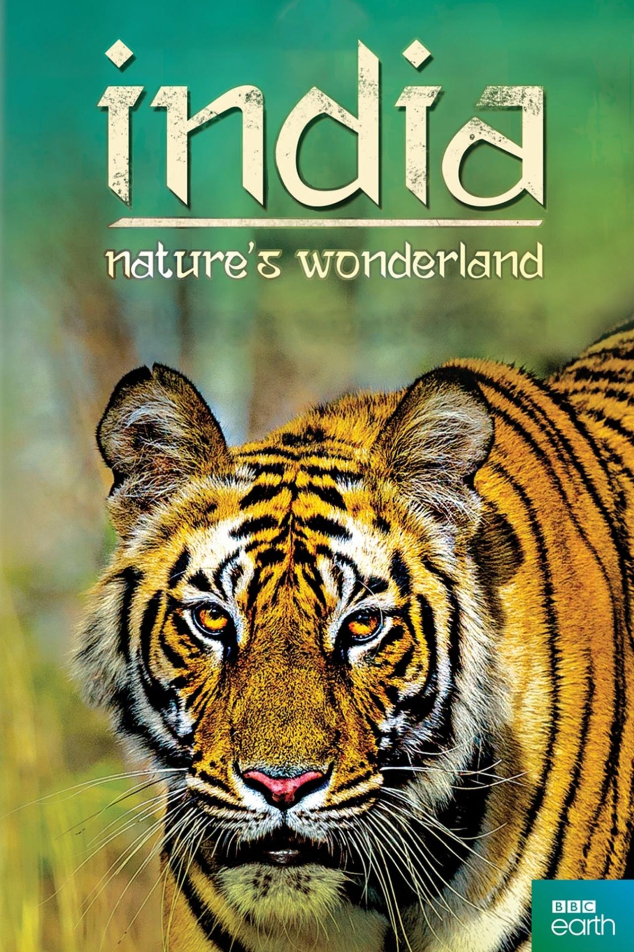 Les saisons de India: Nature's Wonderland sont-elles disponibles sur Netflix ou autre ?