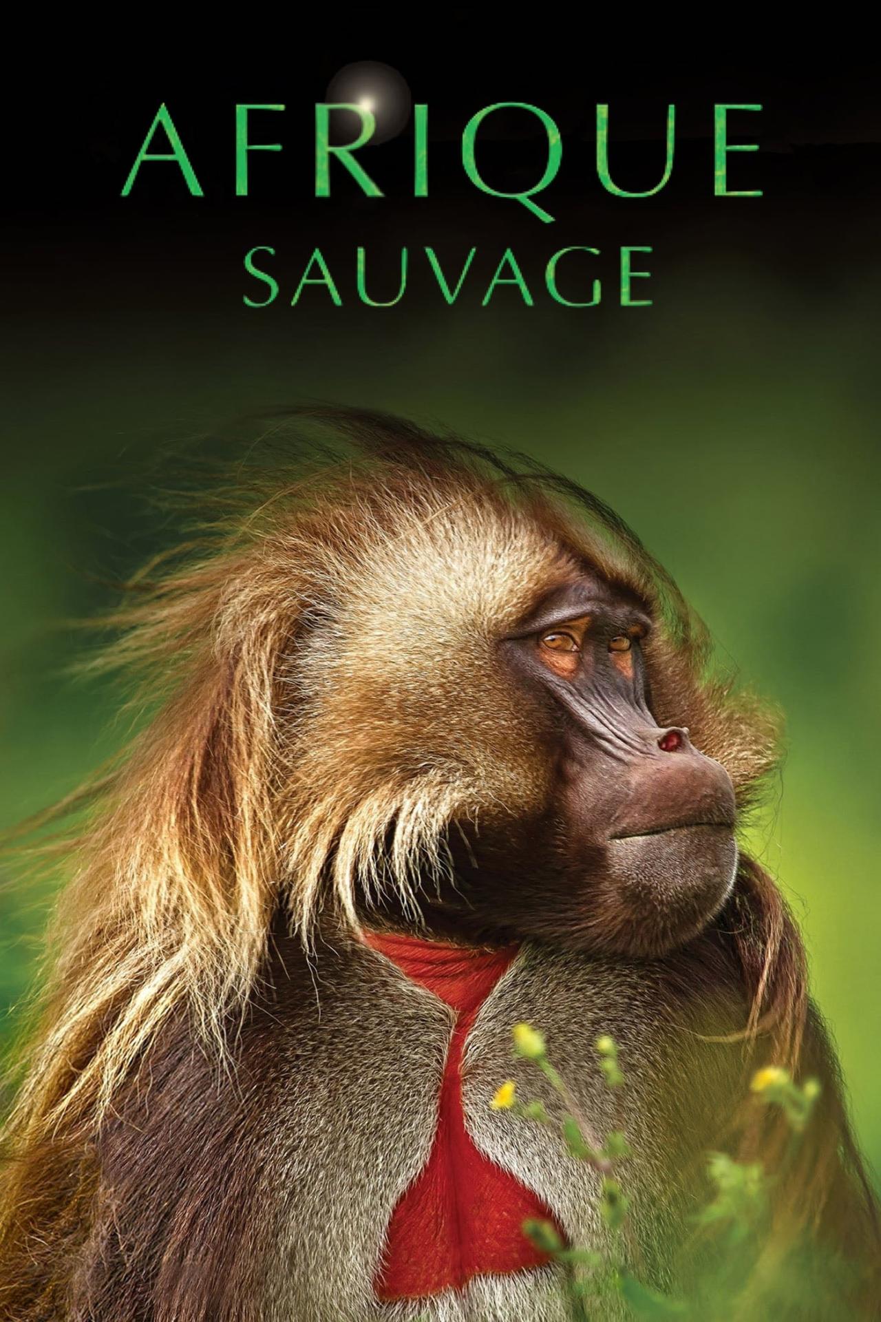 Affiche de la série Afrique sauvage poster