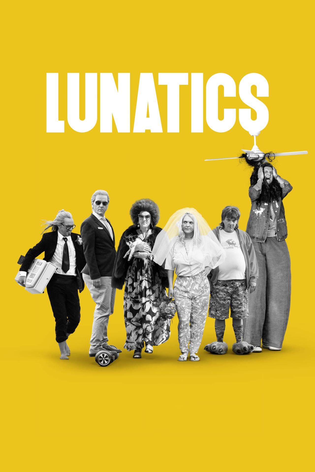 Affiche de la série Lunatics poster