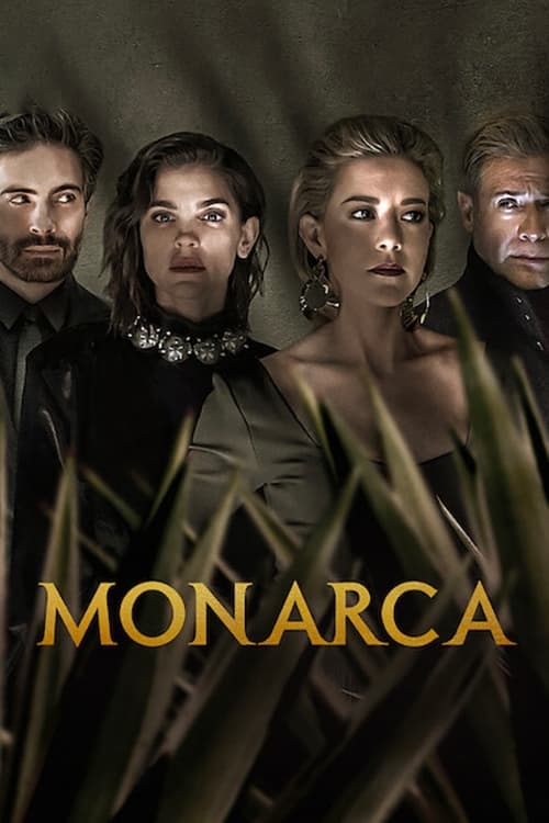 Les saisons de Monarca sont-elles disponibles sur Netflix ou autre ?