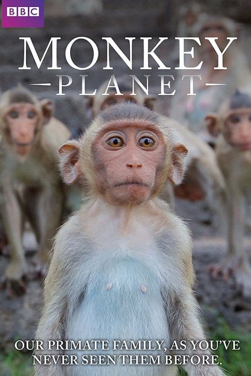 Affiche de la série Monkey Planet poster