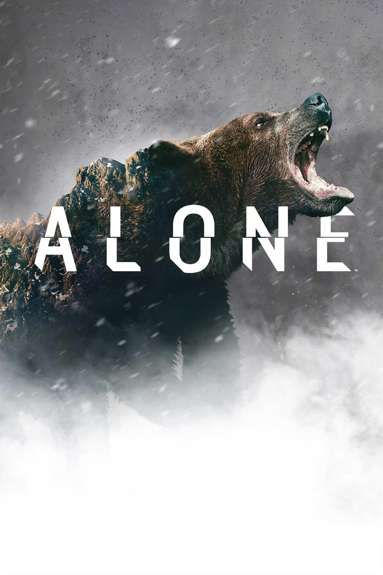 Affiche de la série Alone : les survivants