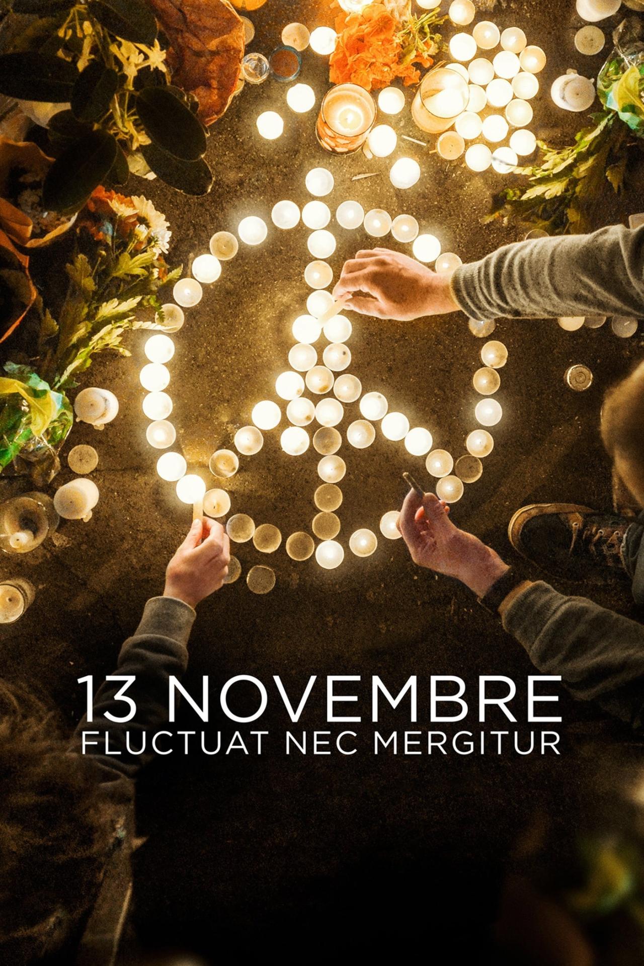 Affiche de la série 13 novembre : Fluctuat nec mergitur poster