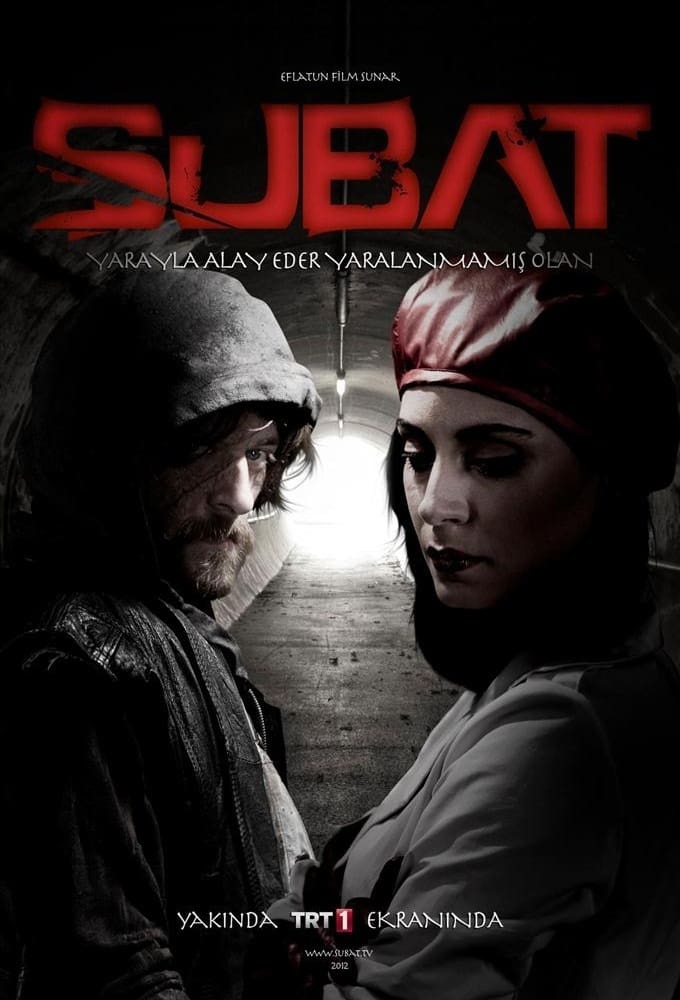 Les saisons de Şubat sont-elles disponibles sur Netflix ou autre ?