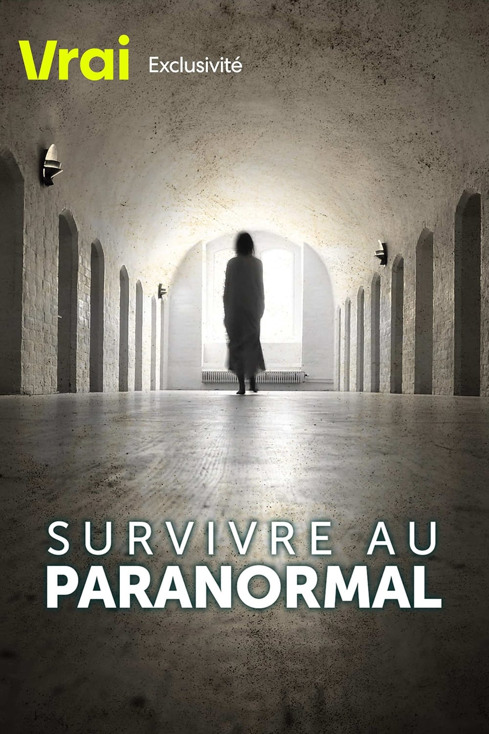 Affiche de la série Paranormal Survivor poster