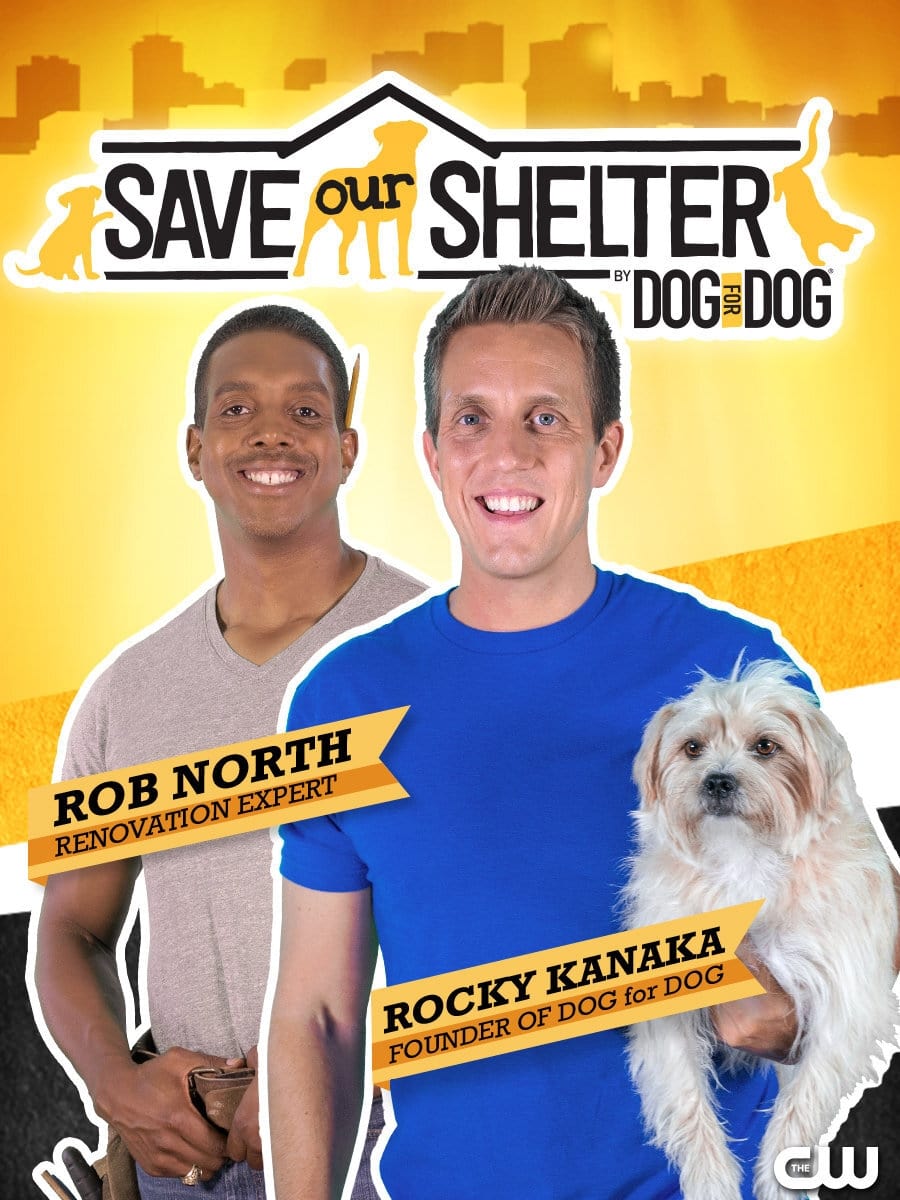 Affiche de la série Save Our Shelter poster