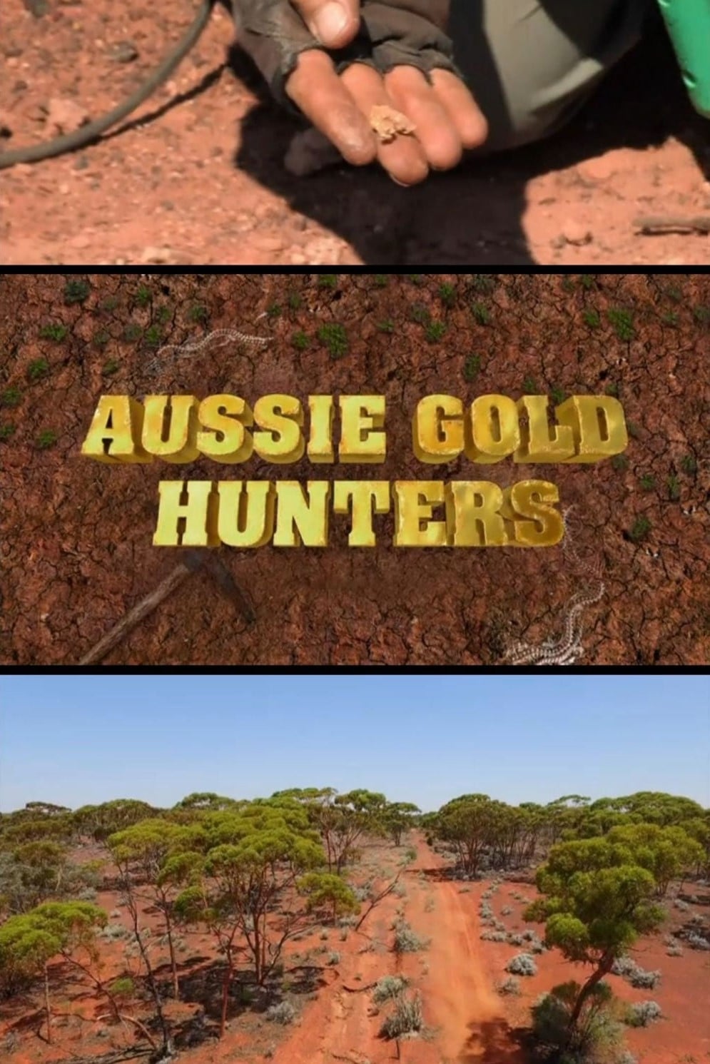 Les saisons de Australie, la ruée vers l'or sont-elles disponibles sur Netflix ou autre ?