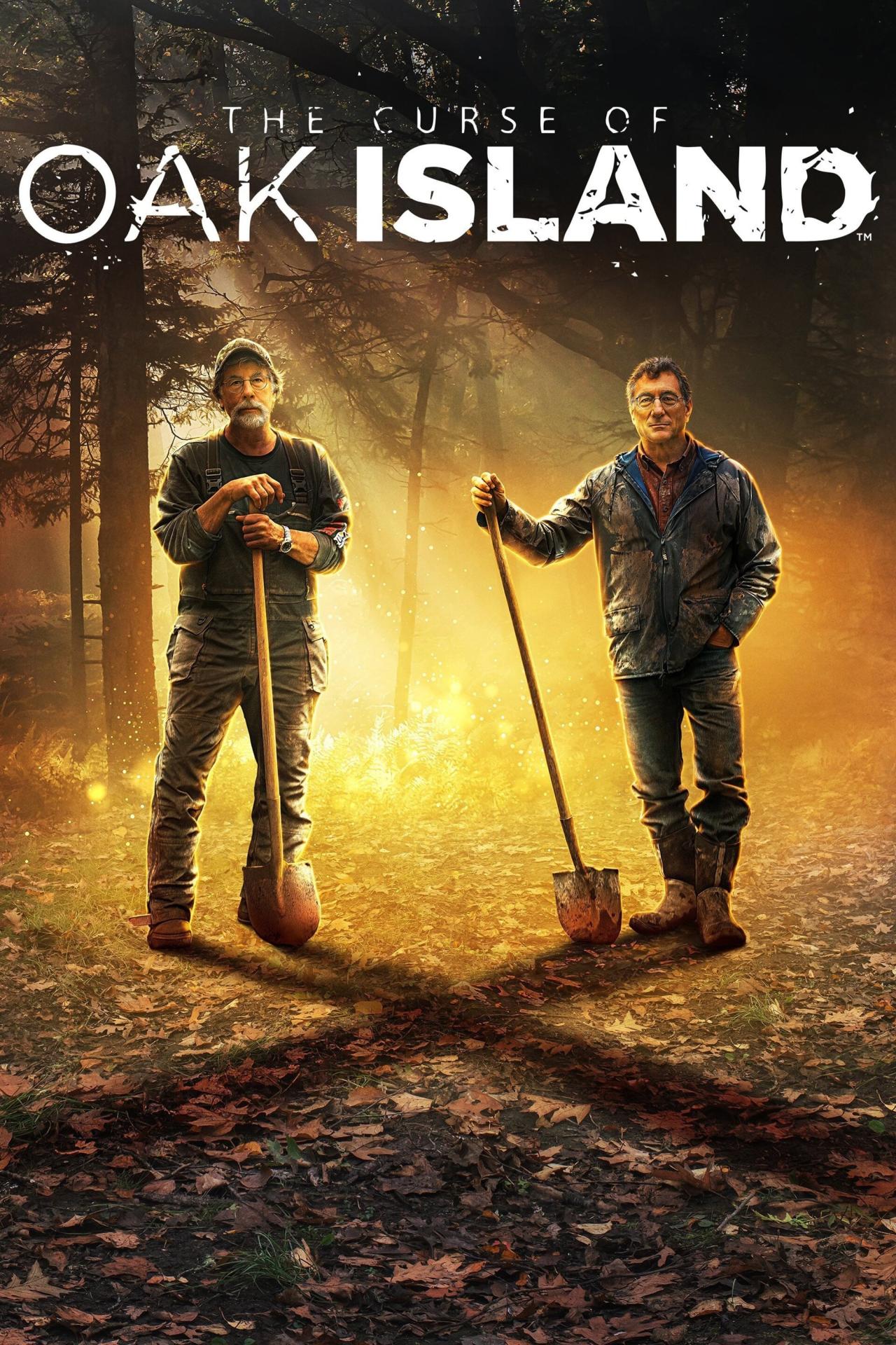 Les saisons de Le mystère d'Oak Island sont-elles disponibles sur Netflix ou autre ?