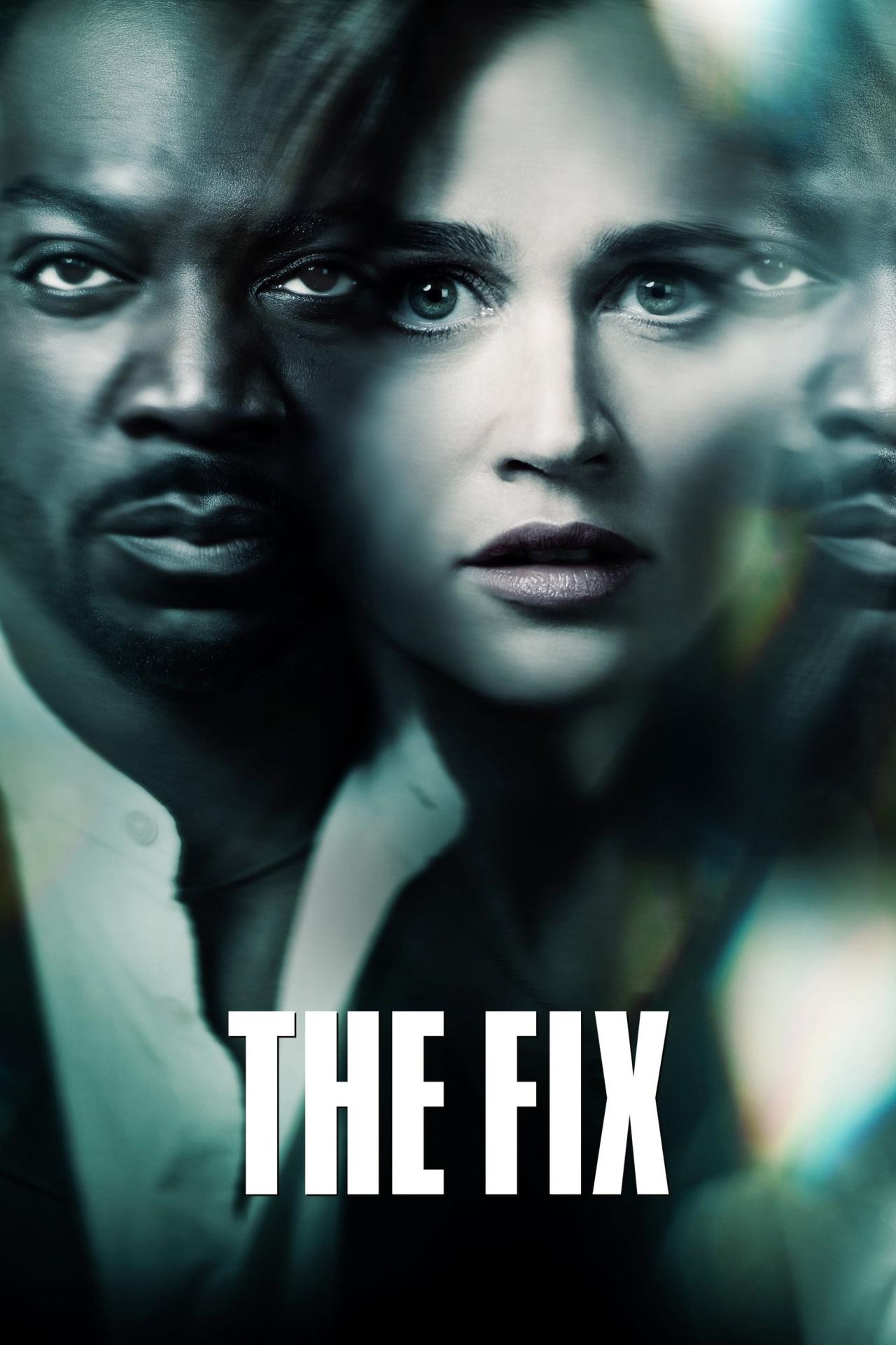 Affiche de la série The Fix poster