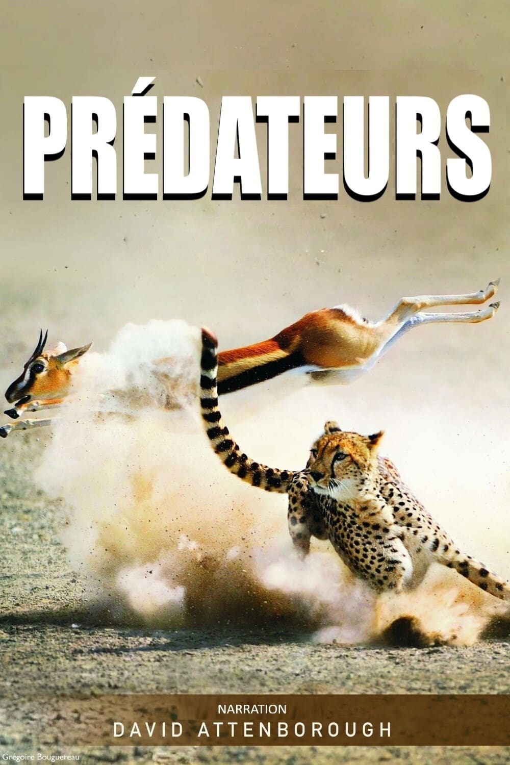 Affiche de la série Prédateurs poster