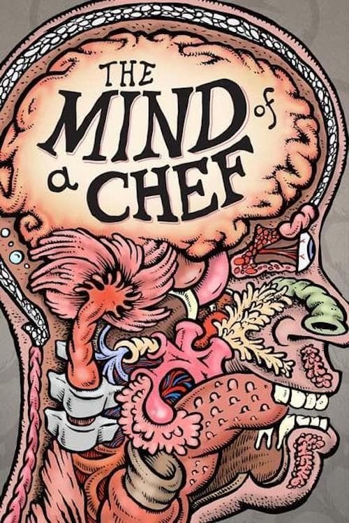 Les saisons de The Mind of a Chef sont-elles disponibles sur Netflix ou autre ?