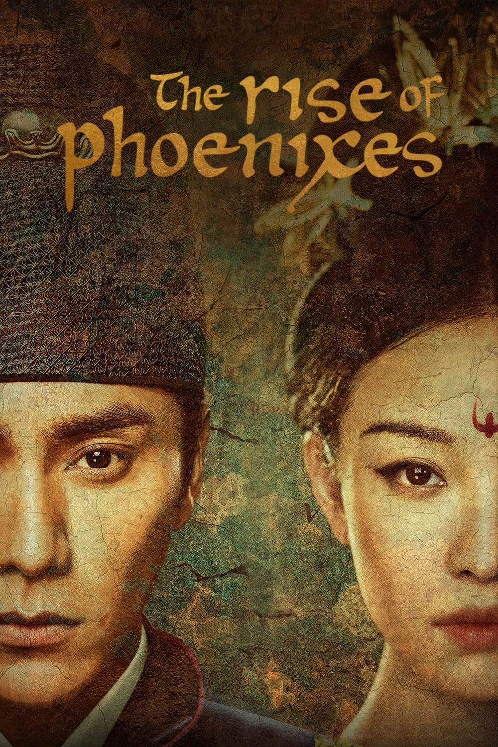 Les saisons de The Rise of Phoenixes sont-elles disponibles sur Netflix ou autre ?