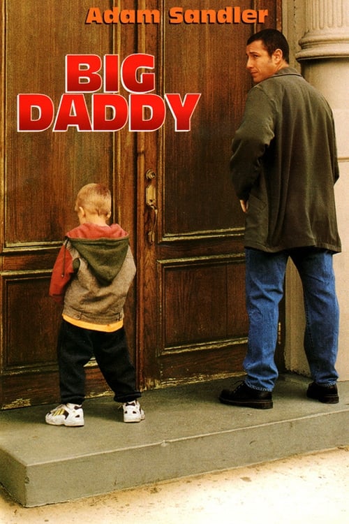 Big Daddy est-il disponible sur Netflix ou autre ?