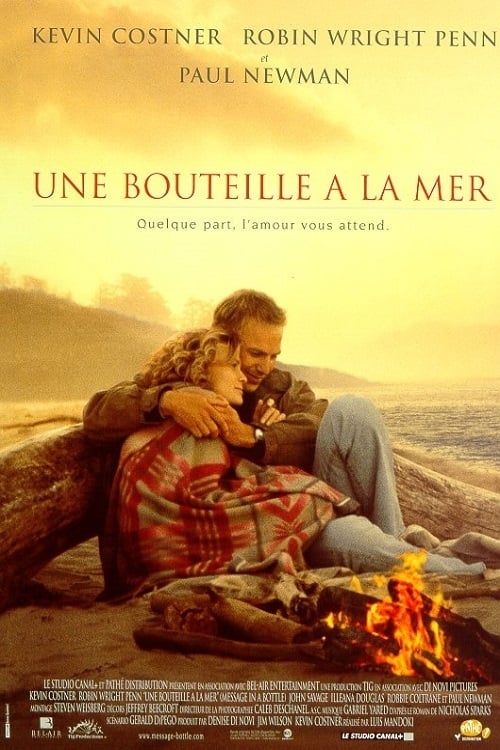 Affiche du film Une bouteille à la mer poster
