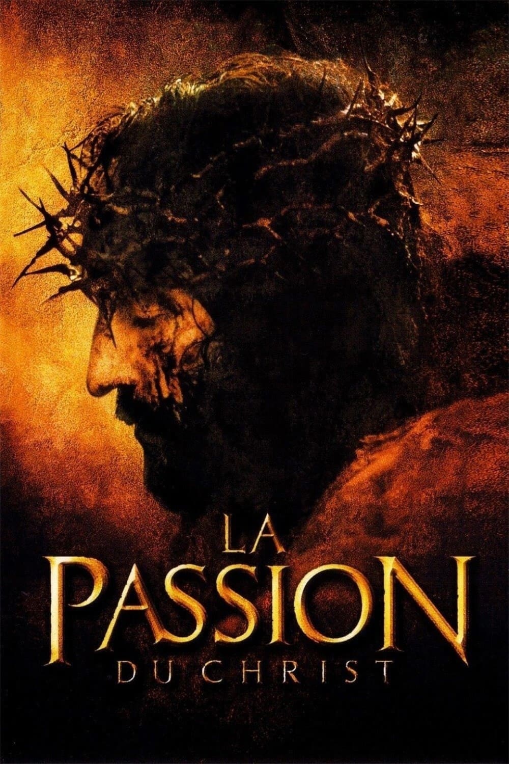 La Passion du Christ est-il disponible sur Netflix ou autre ?