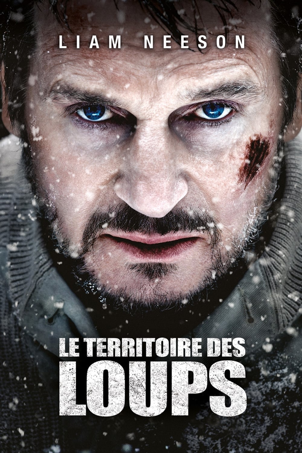 Le territoire des loups est-il disponible sur Netflix ou autre ?