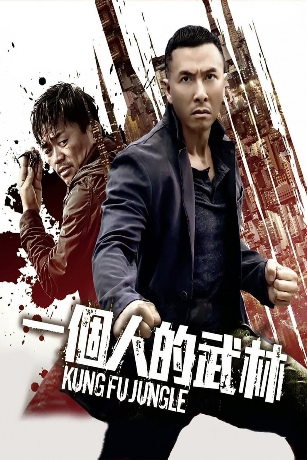 Affiche du film Kung Fu Jungle poster