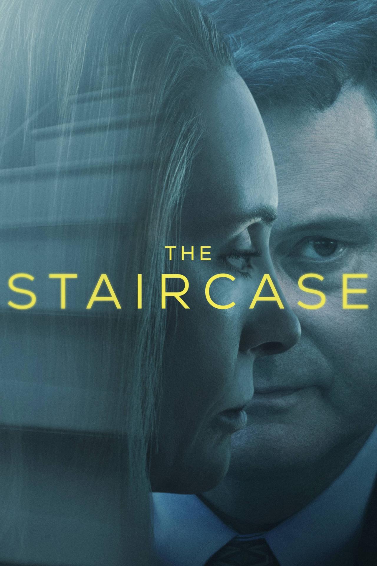 Les saisons de The Staircase sont-elles disponibles sur Netflix ou autre ?