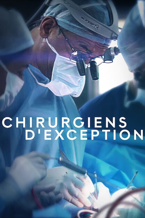 Les saisons de Chirurgiens d'exception sont-elles disponibles sur Netflix ou autre ?