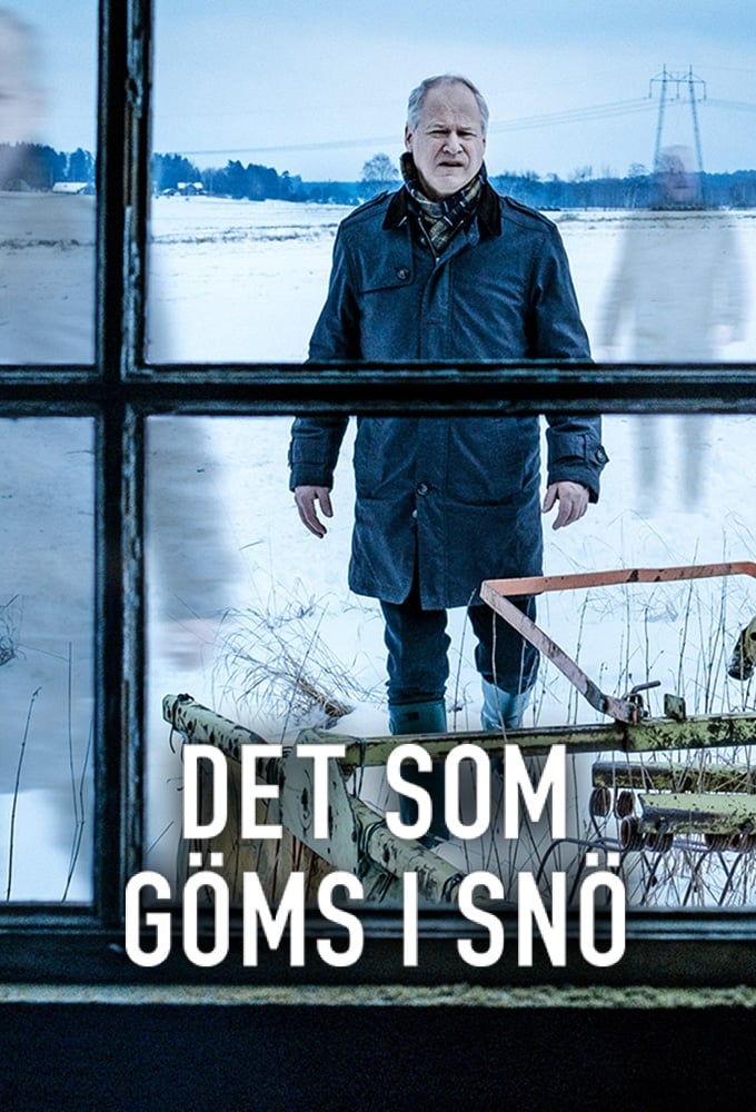 Les saisons de Det som göms i snö sont-elles disponibles sur Netflix ou autre ?