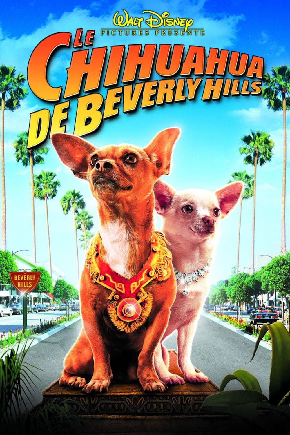 Le Chihuahua de Beverly Hills est-il disponible sur Netflix ou autre ?