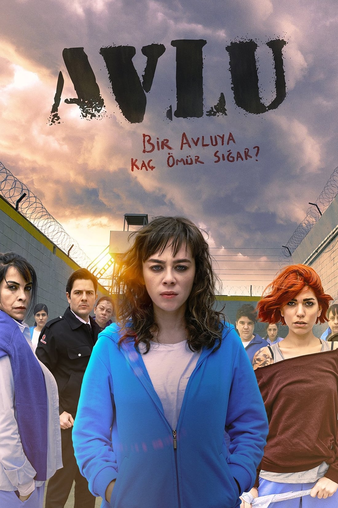Affiche de la série Avlu poster