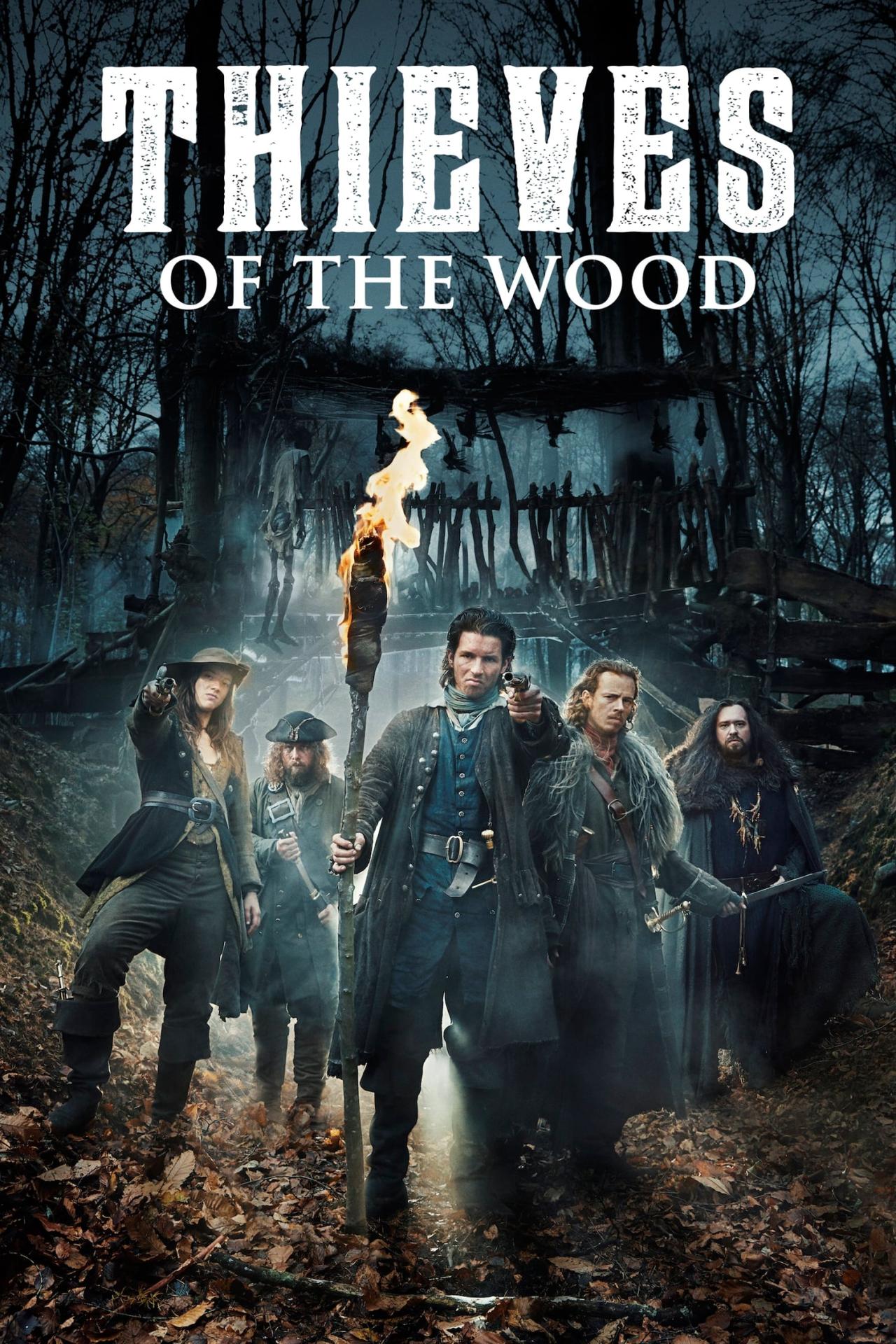 Les saisons de Thieves of the Wood sont-elles disponibles sur Netflix ou autre ?
