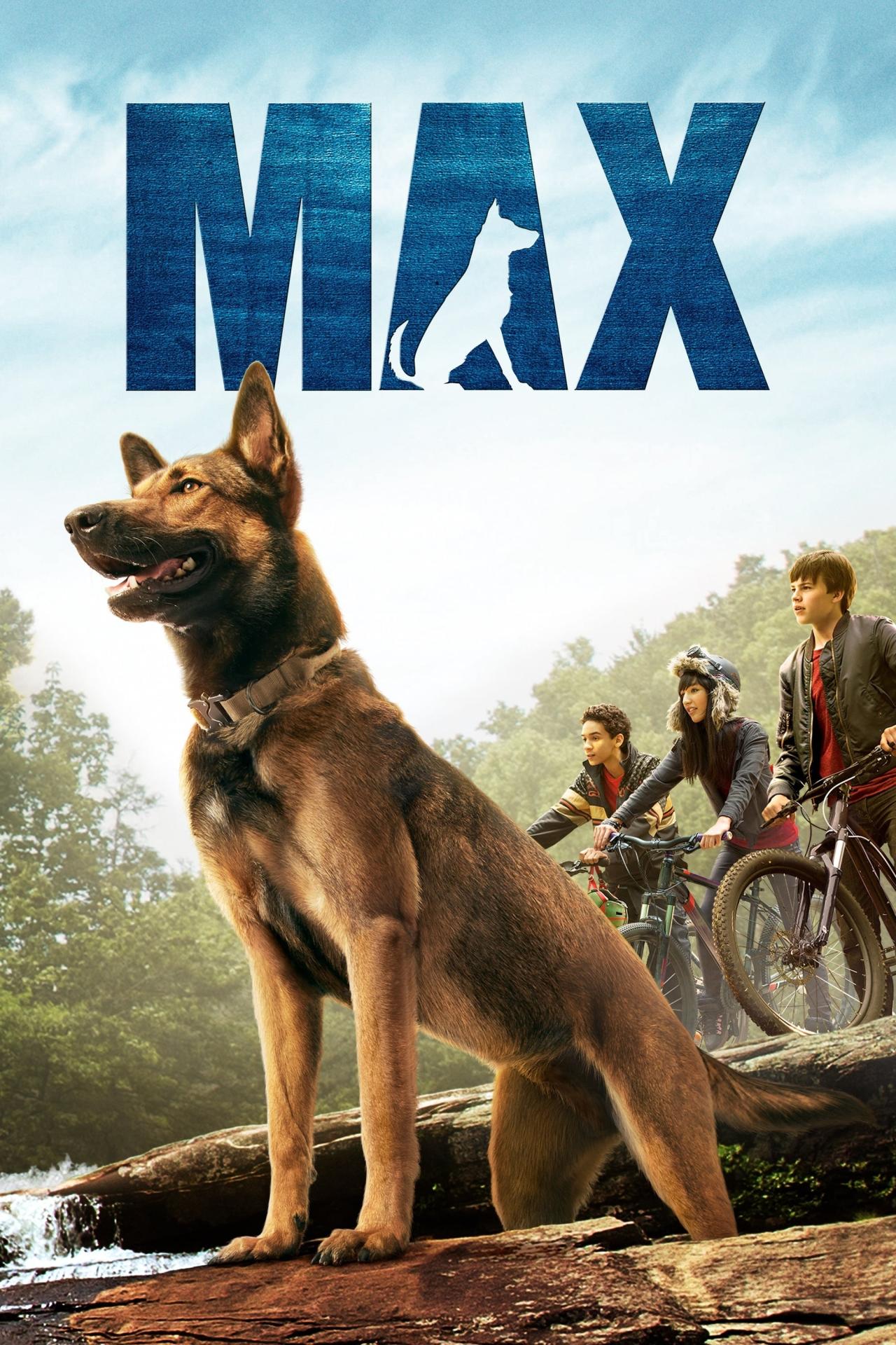 Max est-il disponible sur Netflix ou autre ?