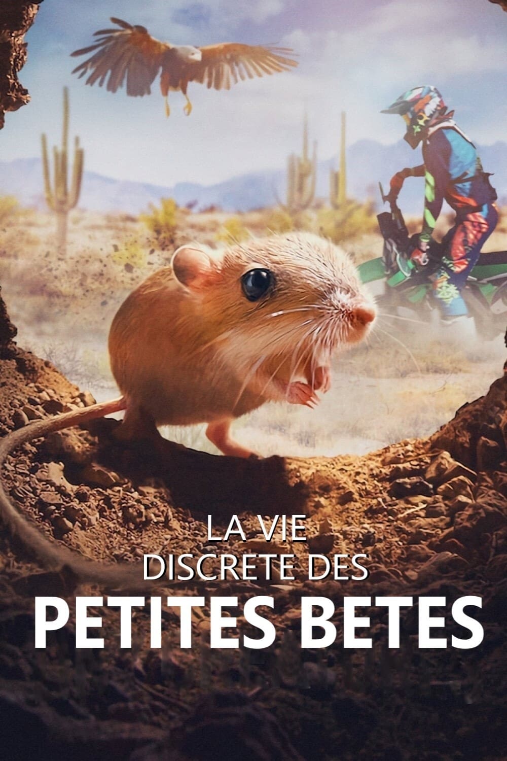 Affiche de la série La vie discrète des petites bêtes poster