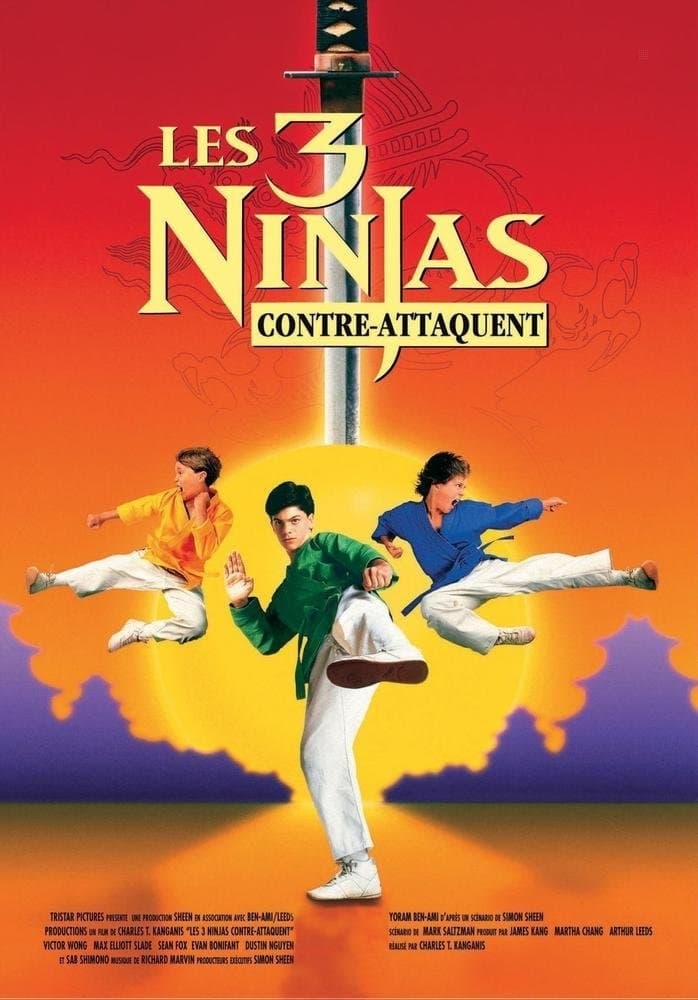 Affiche du film Ninja Kids 2 : Les 3 Ninjas contre-attaquent poster