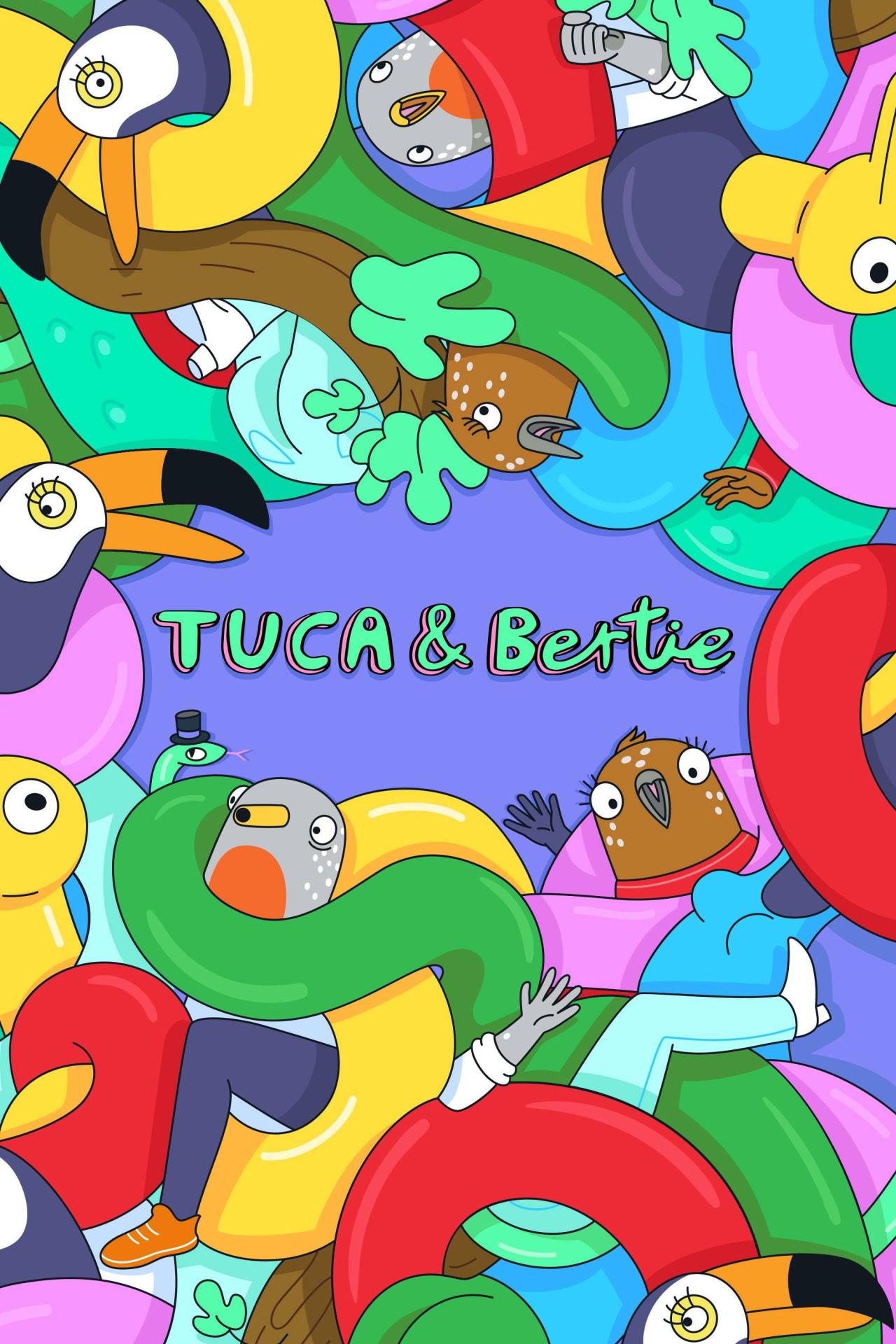 Les saisons de Tuca & Bertie sont-elles disponibles sur Netflix ou autre ?