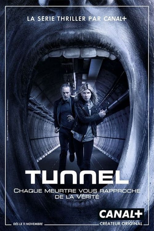 Les saisons de Tunnel sont-elles disponibles sur Netflix ou autre ?