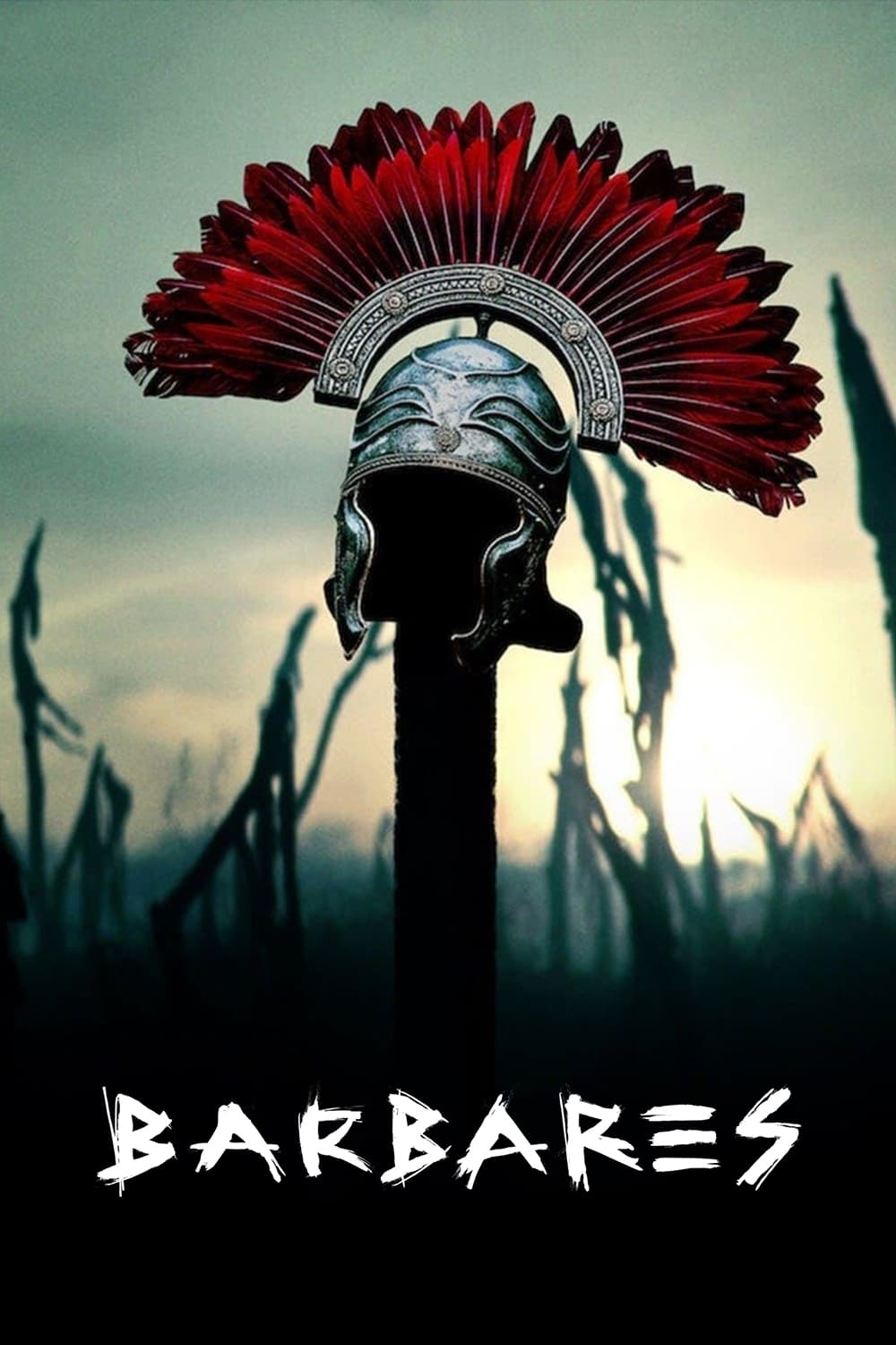 Les saisons de Barbares sont-elles disponibles sur Netflix ou autre ?