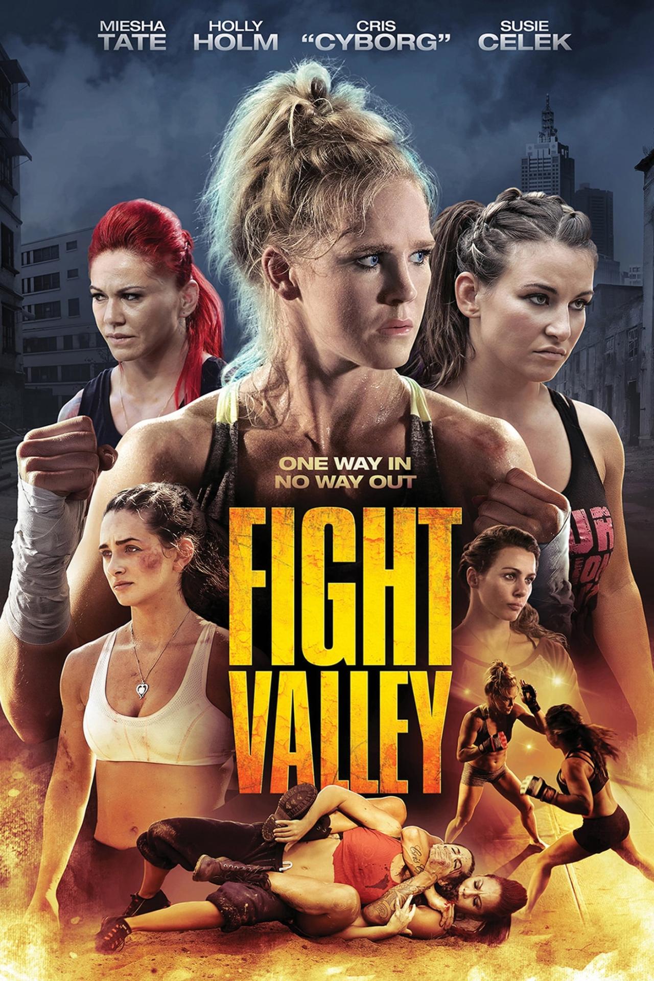 Affiche du film Fight Valley poster