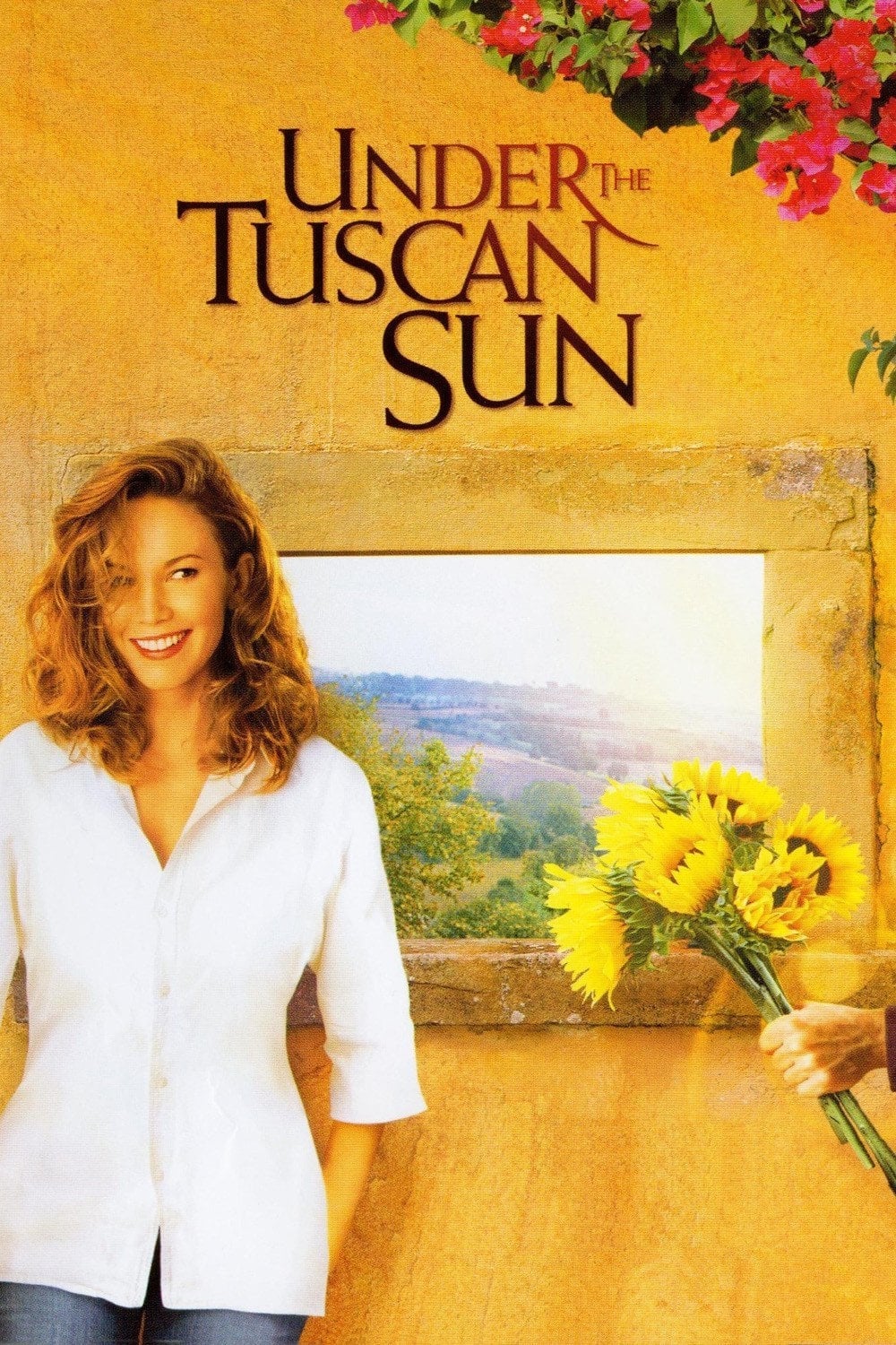 Under the Tuscan Sun est-il disponible sur Netflix ou autre ?