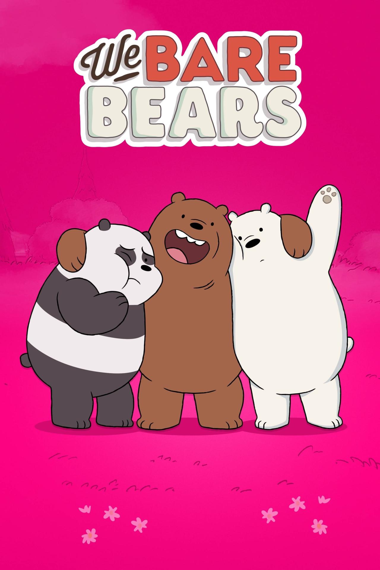 Les saisons de We Bare Bears sont-elles disponibles sur Netflix ou autre ?