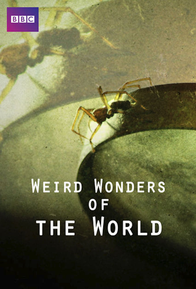 Les saisons de Weird Wonders of the World sont-elles disponibles sur Netflix ou autre ?