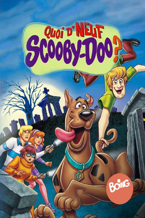 Les saisons de Quoi d'neuf Scooby-Doo ? sont-elles disponibles sur Netflix ou autre ?