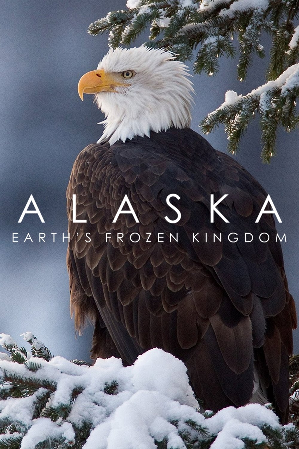 Affiche de la série Alaska: Earth's Frozen Kingdom poster